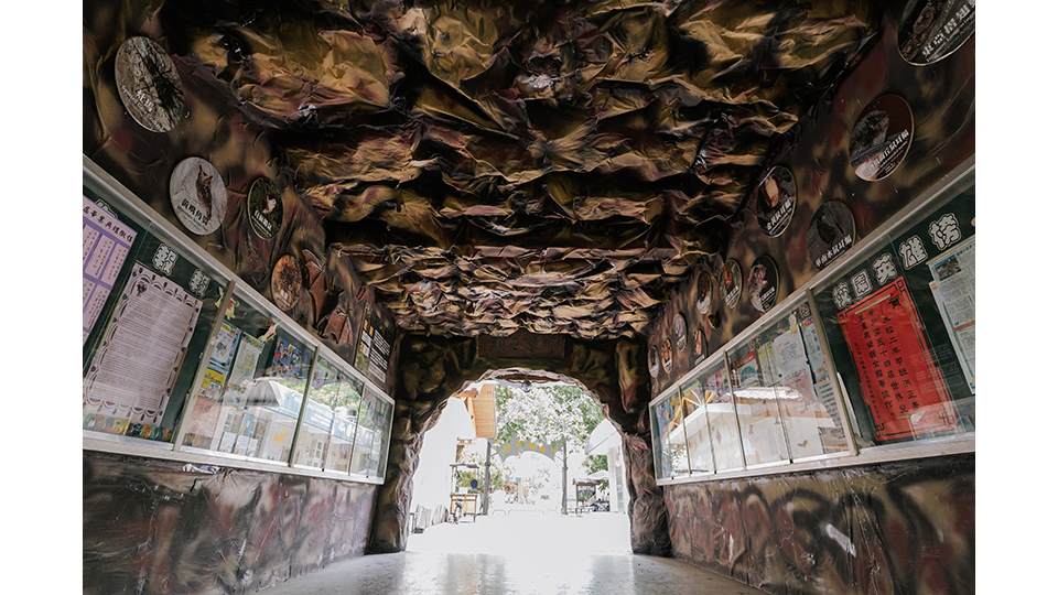 黃金蝙蝠生態館位於雲林縣水林鄉誠正國小校內，是將生態教育融合為辦學特色的最佳示範。學校更將穿堂佈置成隧道，讓訪客宛如置身蝙蝠洞中。